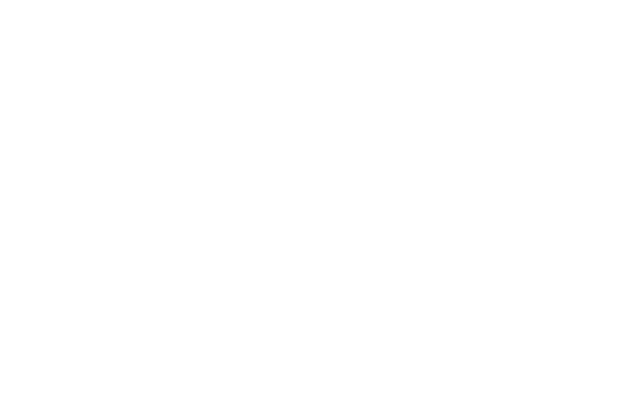 Woiss Logo